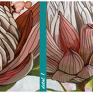 protea kwiat różowe czas realizacji: 1 2 dni wymiary: 147x60cm metoda produkcji obraz z kwiatami