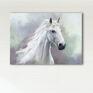 płótno obraz - biały 100x70 - wydruk na koń malowany