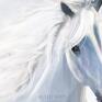 białe obraz - biegnący koń - wydruk
