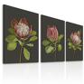 czarne rózowe kwiaty obraz drukowany na płótnie kwiat proteii -duży format