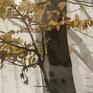 aleobrazy obraz las 1 - 120x70cm las we mgle designe jesień jesień