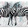 zwierzęta obraz xxl zebra 1 - 120x70cm na płótnie loft