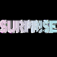 surprise ME