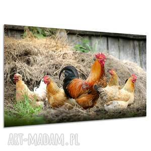 Obraz na płótnie kogut i kury 120x80 cm do salonu