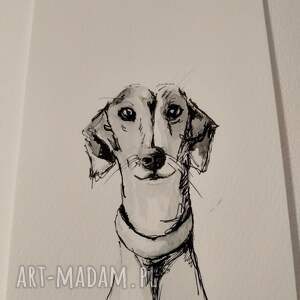 chart, akwarela, grafika, psy