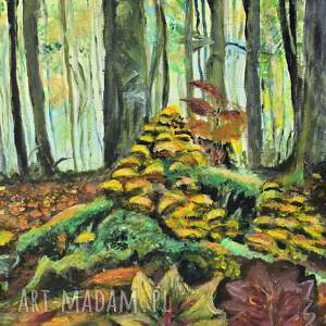 obraz akrylowy na płótnie, 50x50x1cm, podlasie, las
