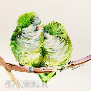 ptaki, papużki, razem, miłość, love