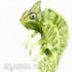 oryginalna akwarela kameleon, gady, dekoracje do domu, prezenty mieszkanie