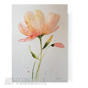 formatu 25/18 cm maki, akwarela