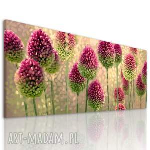 obraz drukowany na płótnie kwiaty - czosnek w ciepłych barwach format 147x60cm