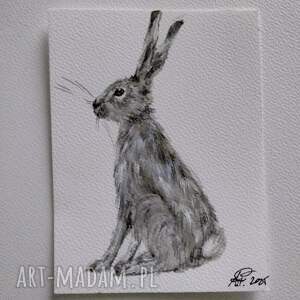 zajac akwarela, zwierzęta, malarstwo akwarelowe