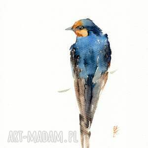 Prezent Oryginalna jaskółki, ptaki, akwarela