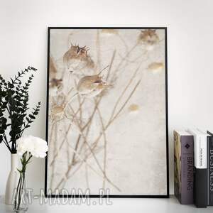 plakat - 40x50 cm botaniczny, boho, wabi sabi, neutralne kolory, skandynawski