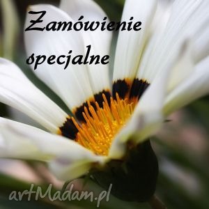 zamówienie specjalne