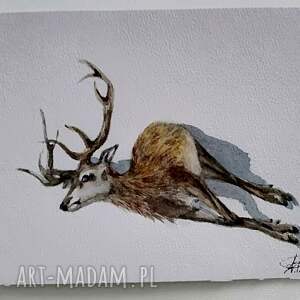 Martwy jeleń. Akwarela, realizm, zwierzęta