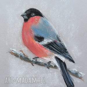 gil - pastele, ptaki obrazy, ptaszek, dzień babci, dziadka