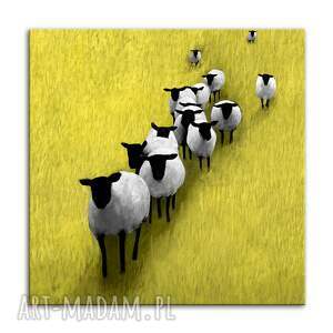 obraz do salonu drukowany na płótnie owce wypasie 02666 owcami
