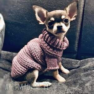 wełniany sweterek dla psa - mery nosek chihuahua, wełna z merynosów wełniane