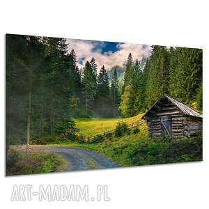 Obraz na płótnie góry, las i chata 120x80 cm