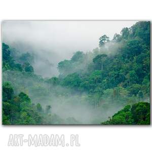 obraz na płótnie - las we mgle abstrakcja 100x70 cm 1 0329