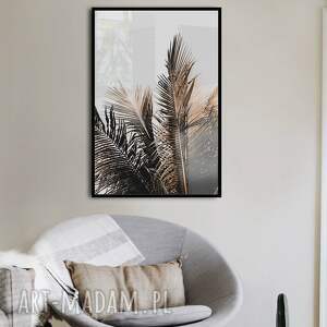 plakaty plakat 40x50 cm - liście palmy (gc 20 - 576)