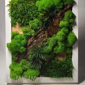 zielony obraz z roślin stabilizowanych w białej ramce eko dekoracja, las