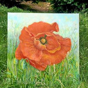 czerwony polny mak duży obraz akryl, kwiaty, polne kwiaty lato