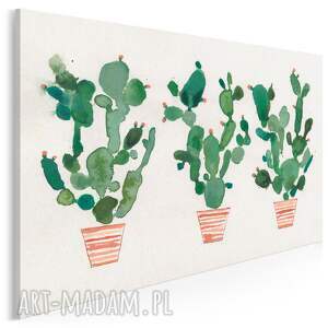 obraz na płótnie - kaktusy rośliny doniczki 120x80 cm (706801)