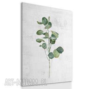 obraz drukowany na płótnie akwarelowa roslinka-eukaliptus 40x60cm
