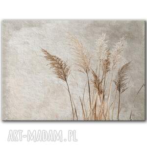 obraz na płótnie - 100x70 cm kwitnące trawy 1 0592, dekoracje