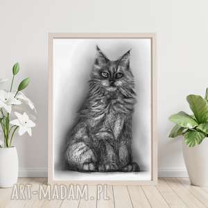 meine coon kot plakat grafika z kotem dekoracja na ścianę rysunek w ramkę