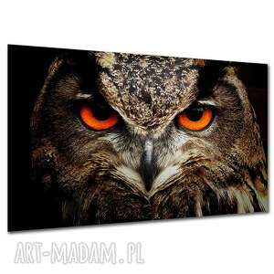 Obraz na płótnie sowa - makro oczu 120x80 cm