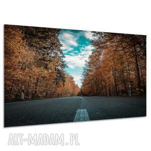 Obraz na płótnie Droga przez jesienny las 120x80 cm