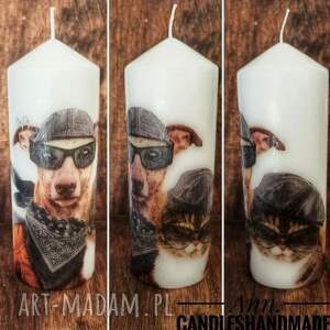 Prezent Świeca dekoracyjna 18 cm, kot, pies