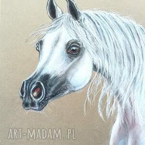 pod choinkę prezenty, koń arabski - pastele konie konik na obrazie, dzień