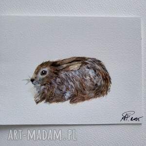 zajaczek akwarela, zwierzęta, malarstwo akwarelowe