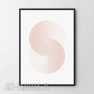 plakat obraz pink circle 61x91cm