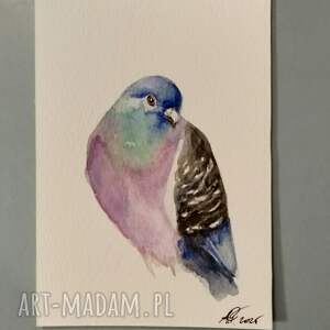 Akwarela Gołąb - kolorowy obraz A6 na papierze 300g od Lhotse Design