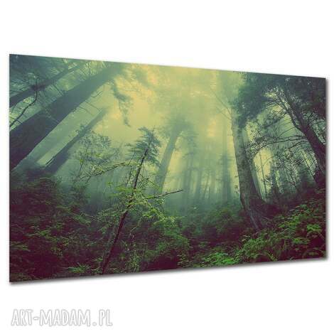 Obraz do salonu LAS L1 120x80 cm we mgle - premium płótno, gotowy do powieszenia
