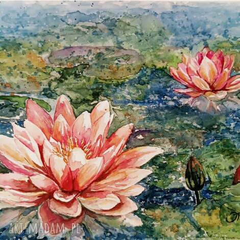 Lilie wodne - obraz akwarelowy 24x32 cm (oryginał)
