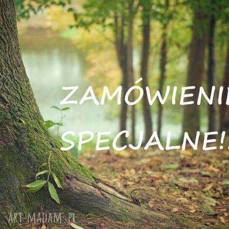 zamówienie specjalne, spinki