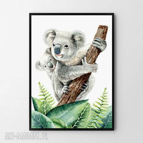 plakat obraz koala 50x70 cm b2 - dziecko, grafika