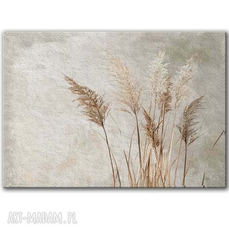 Obraz na płótnie 100x70 cm Kwitnące trawy Boho - natura do salonu