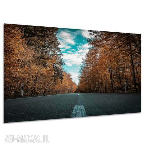 Obraz na płótnie Droga przez jesienny las 120x80 cm