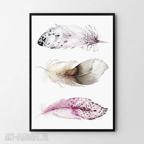 Plakat Piórka 40x50 cm różowy dziewczęcy - Hogstudio