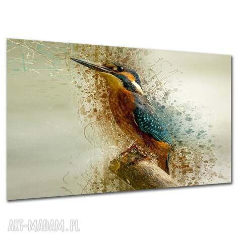 Obraz na płótnie Zimorodek 120x80 cm do sypialni