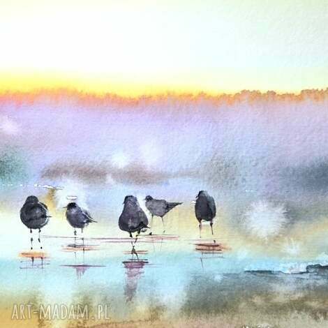 alcedoart ptaki na plaży domu, świt, wschód, bałtyk