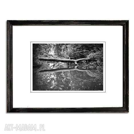 the twin /2/, fotografia autorska, pejzaż, drzewo, las rzeka