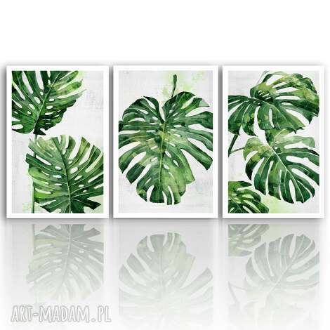 Tryptyk Monstera na płótnie 150x70 cm - gotowy do zawieszenia