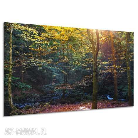 Obraz na płótnie Jesienny Las 120x80 cm - pejzaż